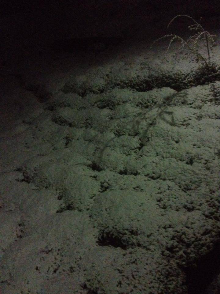 Of Sugeldi Köyü Resimleri 19