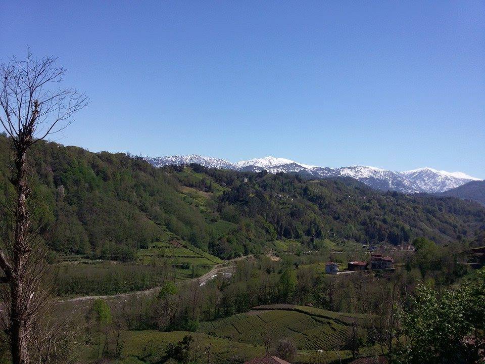 Of Sugeldi Köyü Resimleri 25