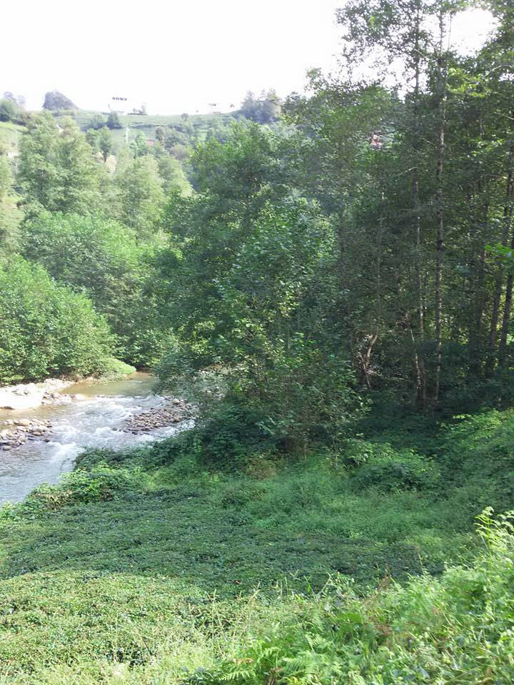 Of Sugeldi Köyü Resimleri 27