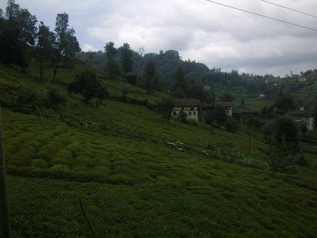 Of Sugeldi Köyü Resimleri 6