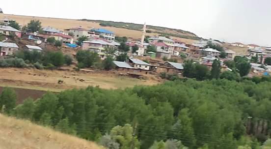 Karakoçan Kızılca Köyü Resimleri 3