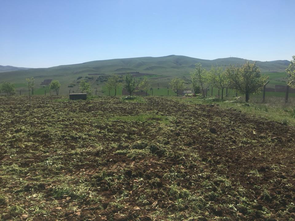 Karakoçan Kümbet Köyü Resimleri 4