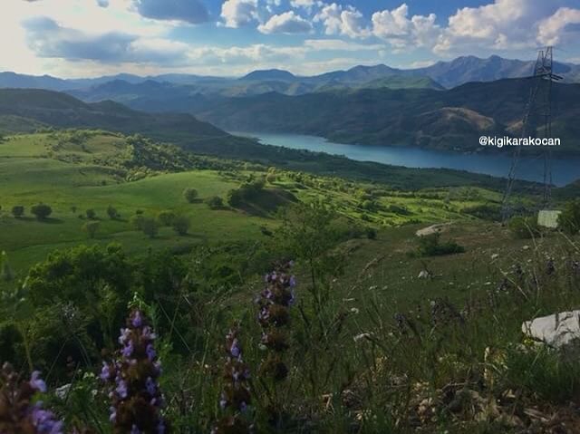 Karakoçan Okçular Köyü Resimleri 1