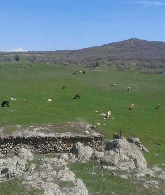Karakoçan Okçular Köyü Resimleri 2