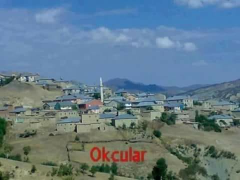 Karakoçan Okçular Köyü Resimleri 3