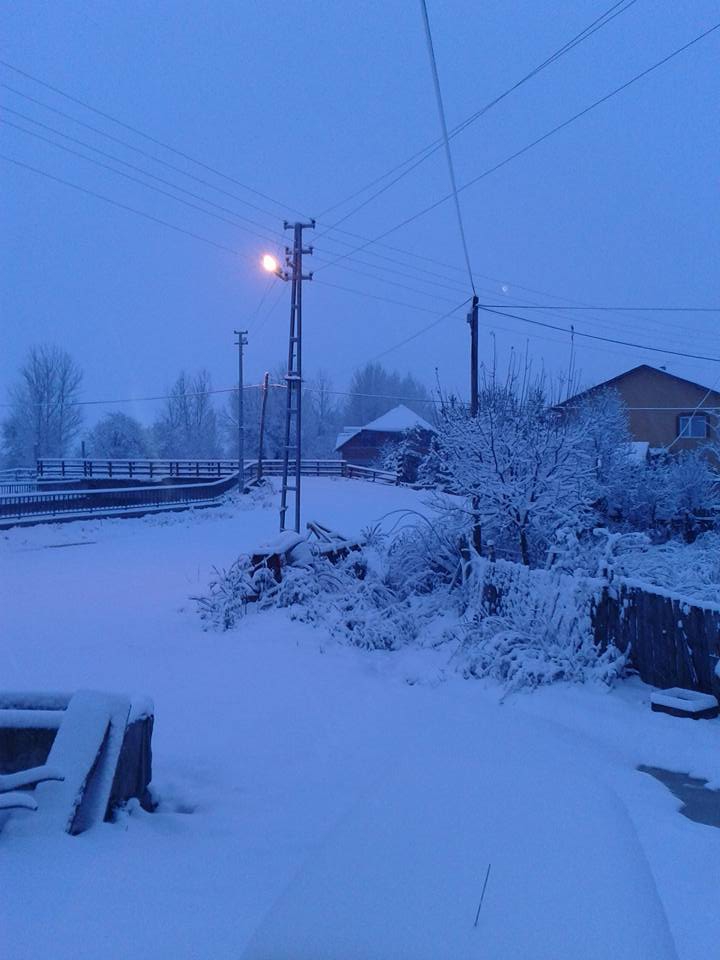 Seydiler Emreler Köyü Resimleri 2