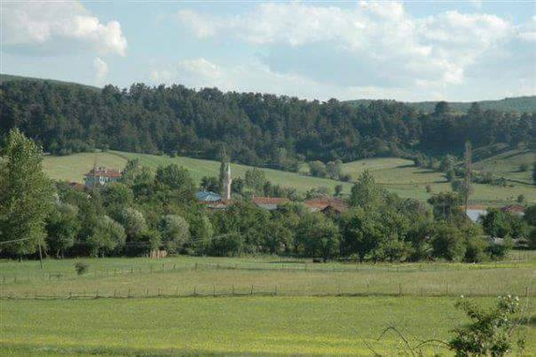 Seydiler Emreler Köyü Resimleri 3