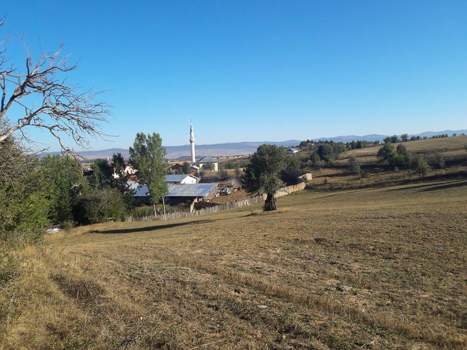 Seydiler Emreler Köyü Resimleri 5