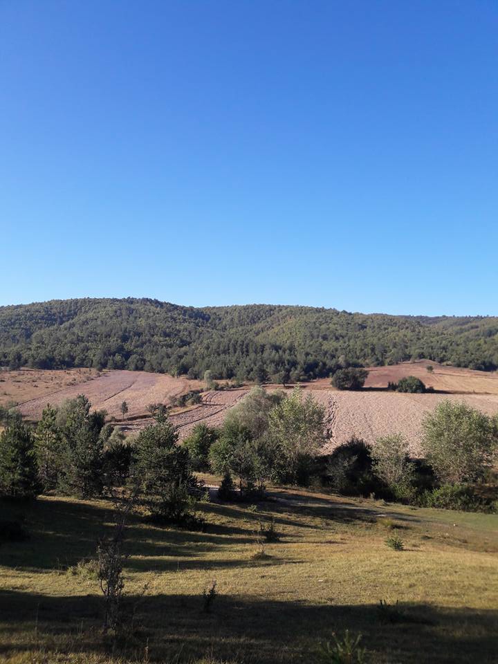 Seydiler Emreler Köyü Resimleri 6