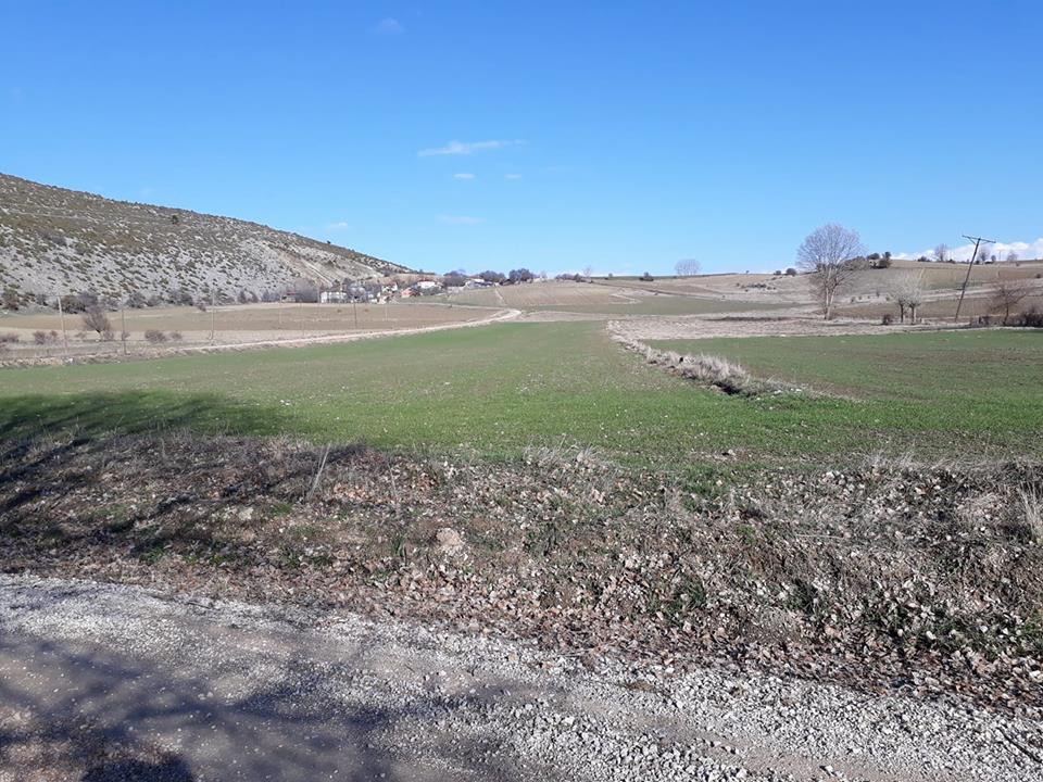 Seydiler İmrenler Köyü Resimleri 2