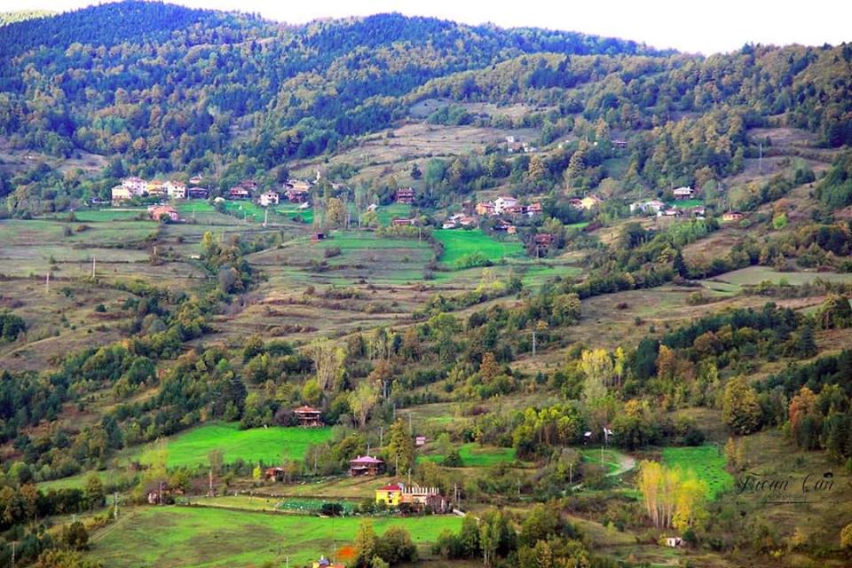 Şenpazar Aşıklı Köyü Resimleri 1