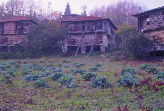 Şenpazar Aşıklı Köyü Resimleri 2