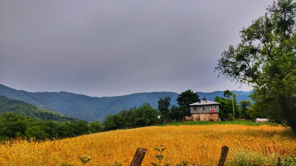 Şenpazar Büyükmutlu Köyü Resimleri 1