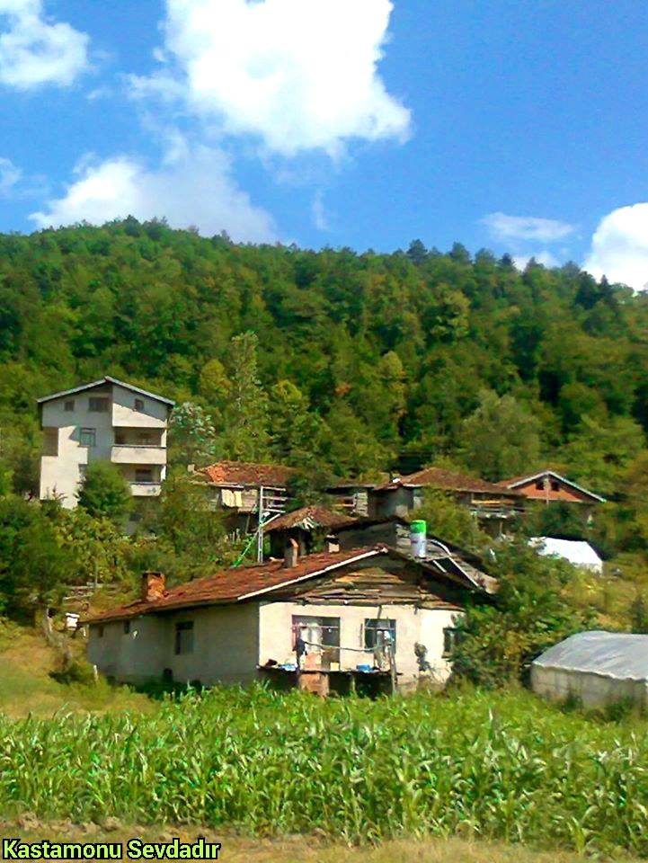 Şenpazar Büyükmutlu Köyü Resimleri 2