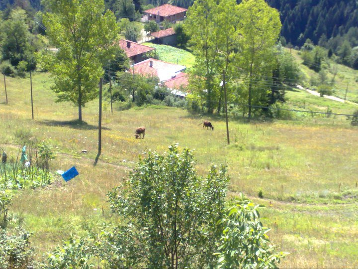 Şenpazar Celallı Köyü Resimleri 13