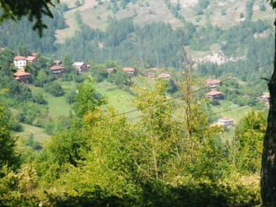 Şenpazar Celallı Köyü Resimleri 8