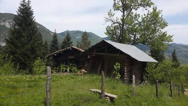 Şenpazar Dağlı Köyü Resimleri 5