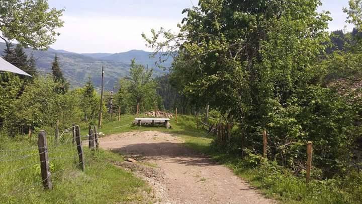 Şenpazar Dağlı Köyü Resimleri 6