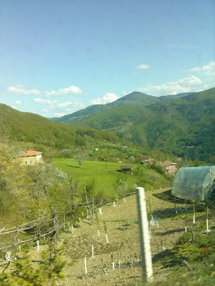 Şenpazar Edeler Köyü Resimleri 3