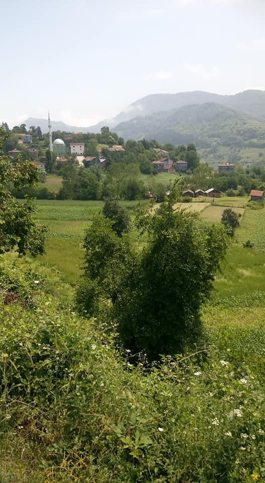 Şenpazar Edeler Köyü Resimleri 6