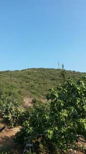 Adana Ceyhan Çevretepe Köyü Resimleri 17