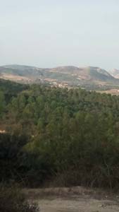 Adana Ceyhan Çevretepe Köyü Resimleri 5