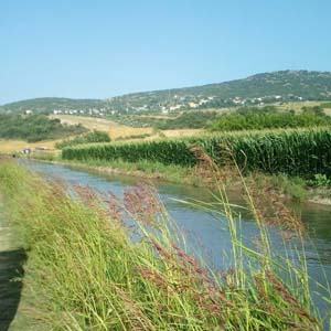 Adana Ceyhan Çevretepe Köyü Resimleri 6