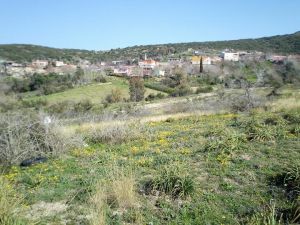Adana Ceyhan Çevretepe Köyü Resimleri