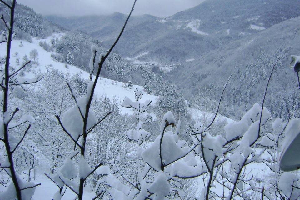 Şenpazar Gürleyik Köyü Resimleri 2