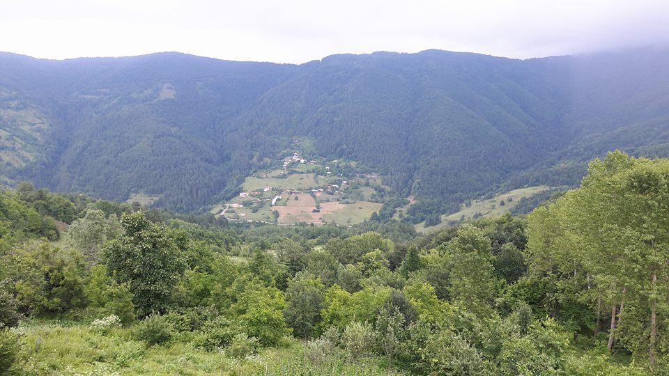 Şenpazar Gürleyik Köyü Resimleri 6