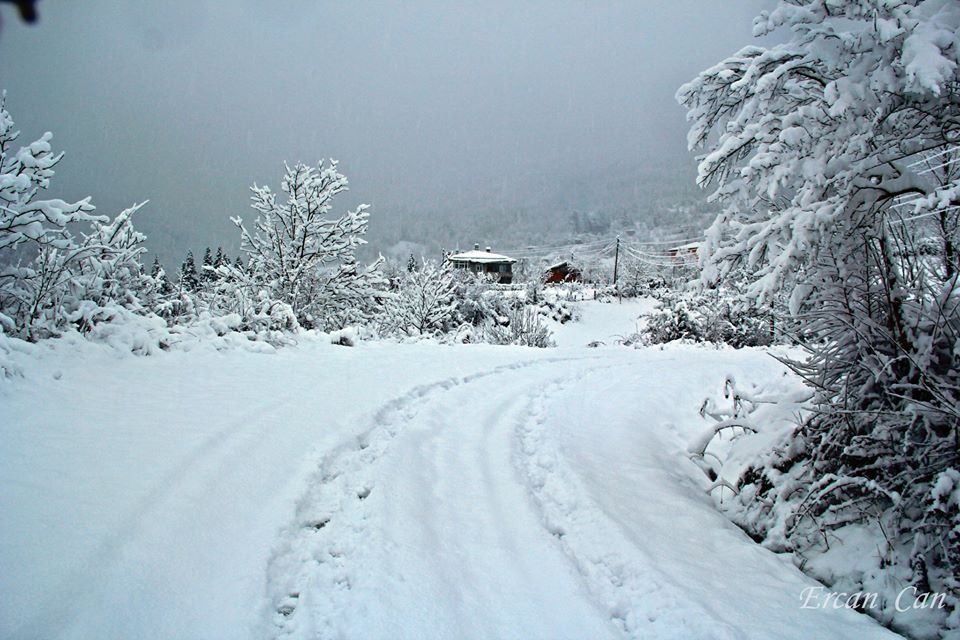 Şenpazar Gürpelit Köyü Resimleri 2