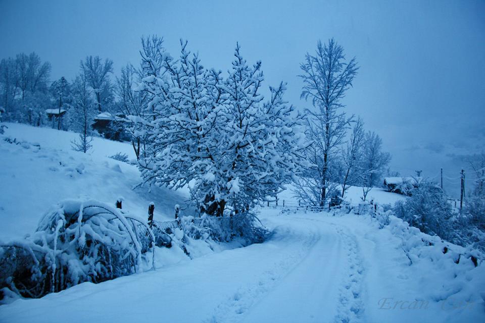 Şenpazar Gürpelit Köyü Resimleri 3