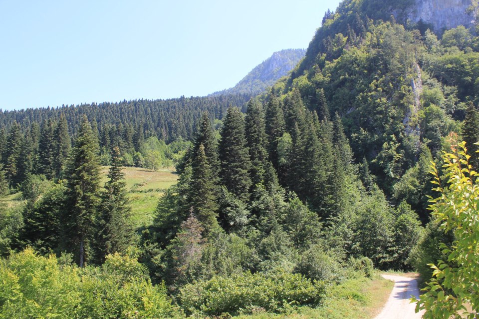 Şenpazar Gürpelit Köyü Resimleri 8