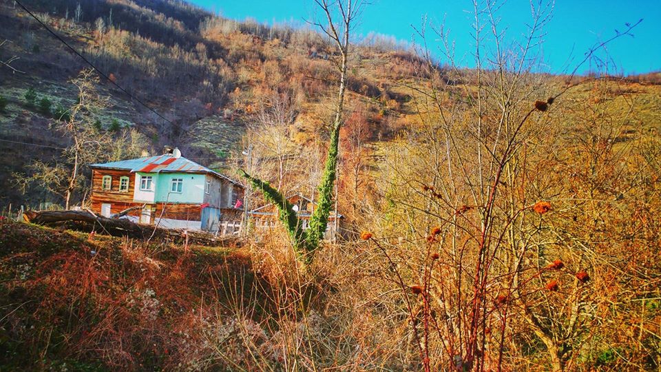 Şenpazar Küçükmutlu Köyü Resimleri 1