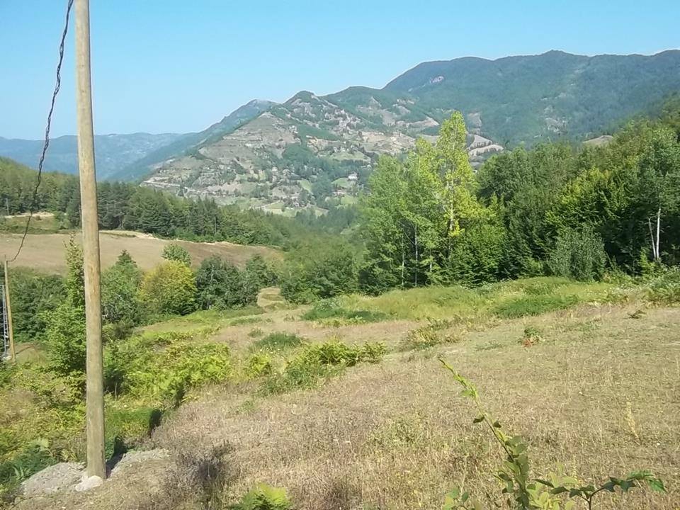 Şenpazar Küçükmutlu Köyü Resimleri 2