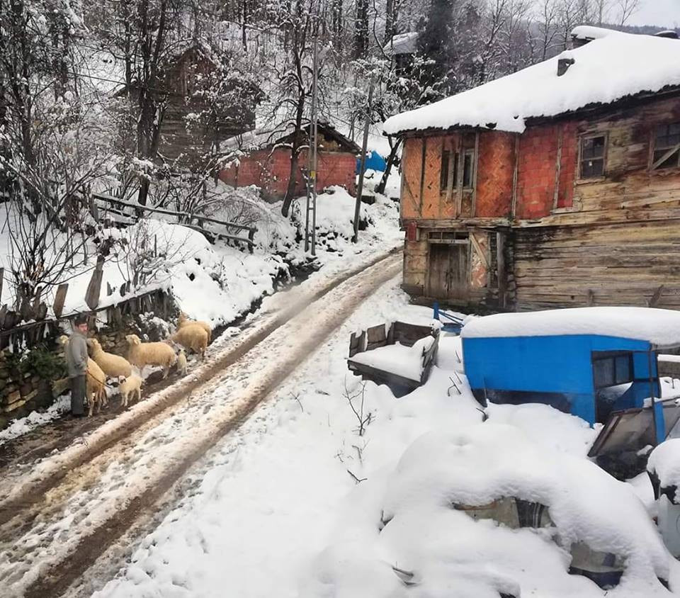 Şenpazar Küçükmutlu Köyü Resimleri 4