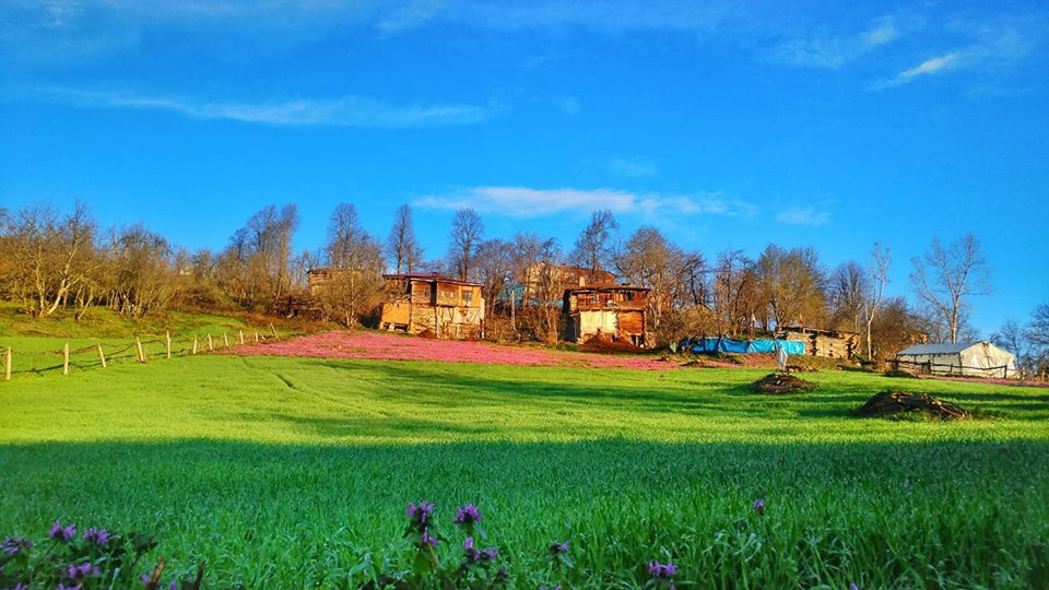 Şenpazar Küçükmutlu Köyü Resimleri 5