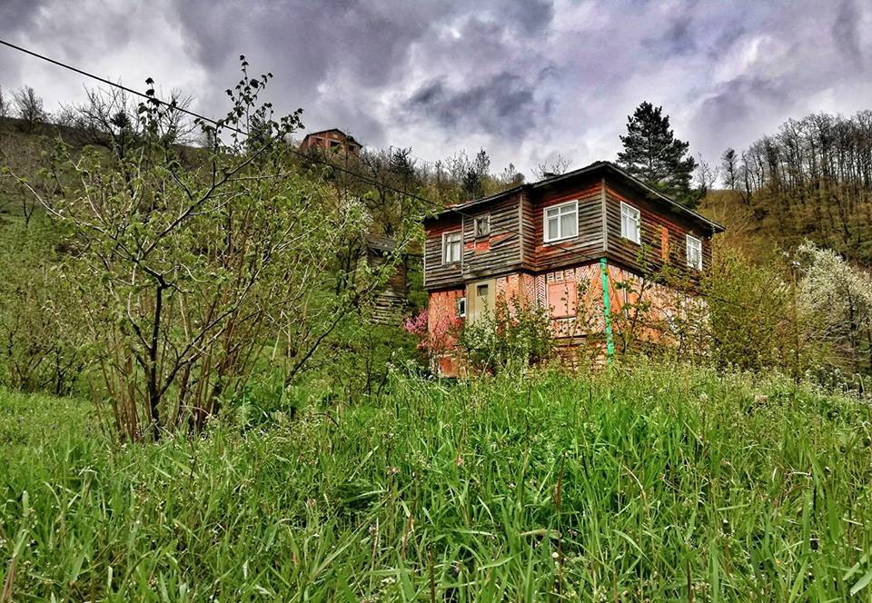 Şenpazar Küçükmutlu Köyü Resimleri 6