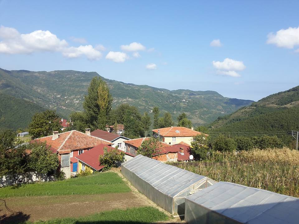 Şenpazar Sefer Köyü Resimleri 1