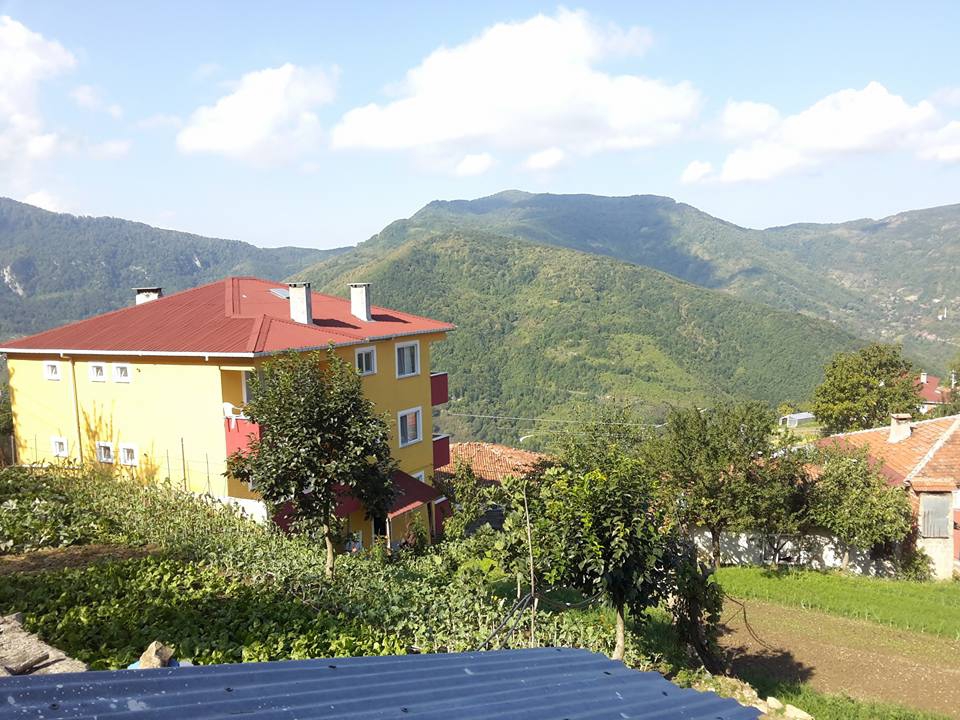 Şenpazar Sefer Köyü Resimleri 6