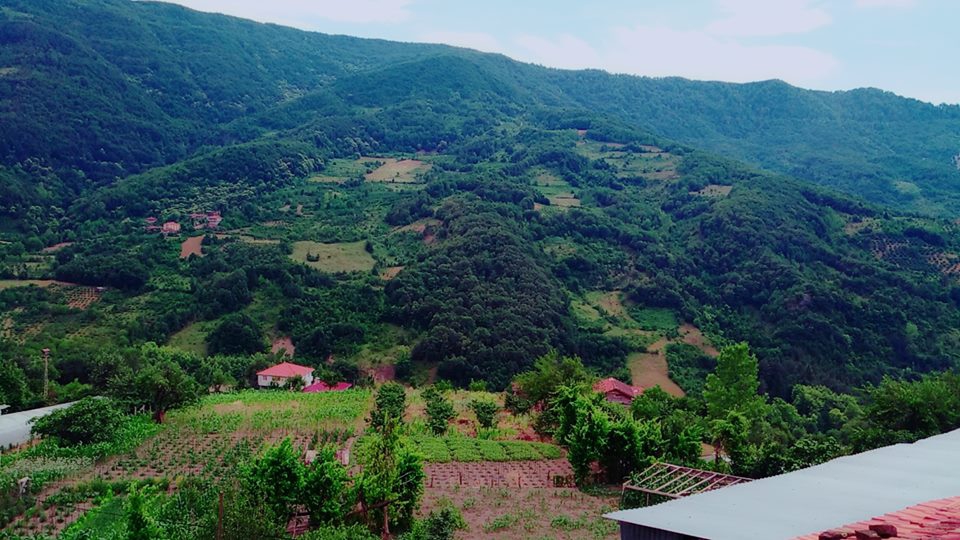 Şenpazar Sefer Köyü Resimleri 7
