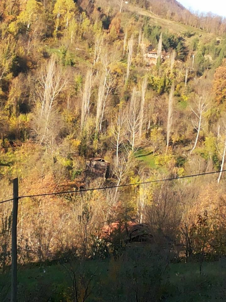 Şenpazar Sefer Köyü Resimleri 8