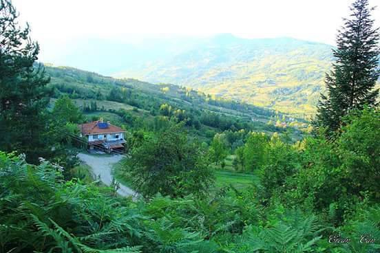 Şenpazar Tepecik Köyü Resimleri 1