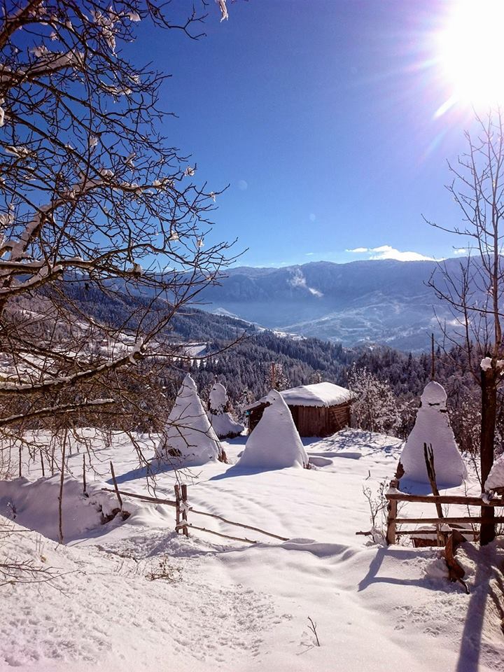 Şenpazar Tepecik Köyü Resimleri 2