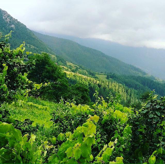 Şenpazar Tepecik Köyü Resimleri 3