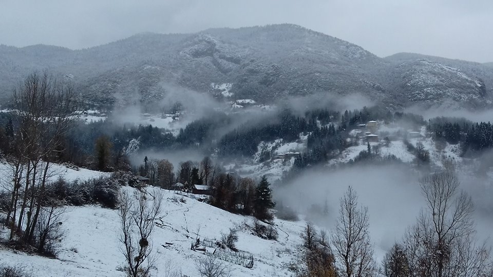 Şenpazar Tepecik Köyü Resimleri 4