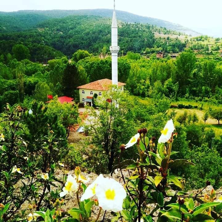 Taşköprü Abay Köyü Resimleri 1