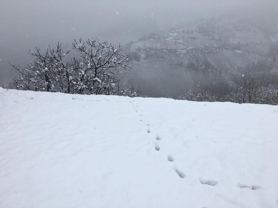 Şalpazarı Çarlaklı Köyü Resimleri 10