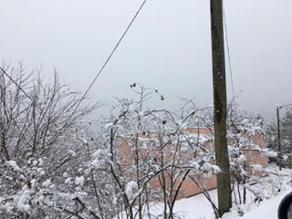 Şalpazarı Çarlaklı Köyü Resimleri 16