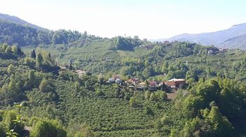 Şalpazarı Çarlaklı Köyü Resimleri 17